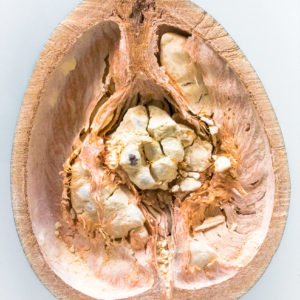 Baobab Fruit Powder - BIO - Vegan